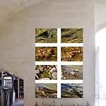 Frühstückspension Sax Barisano Matera